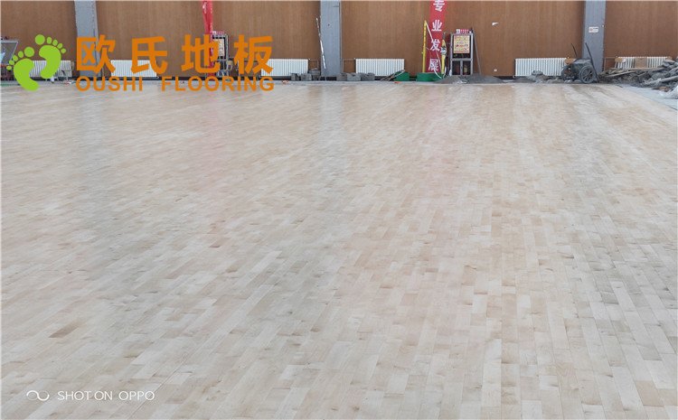 西寧市世紀職業技術學?；@球訓練館木地板圖片
